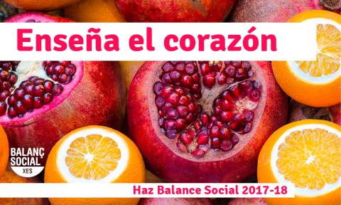 reas-balance-social-2017