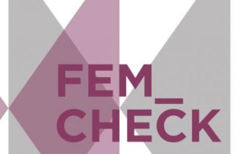 Fem_check