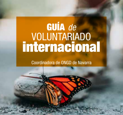 Guía de Voluntariado Internacional