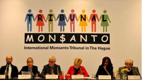La multinacional Monsanto fue culpada por ecocidio