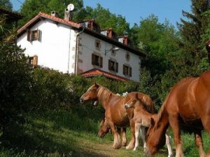 Curso "La magia de las plantas" (Villanueva de Arce - Navarra)
