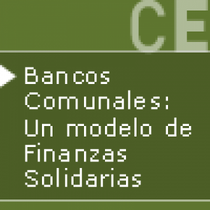 Curso virtual: Bancos Comunales, un modelo de finanzas solidarias