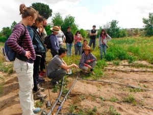 Curso Internacional de Ecología Urbana (Madrid)