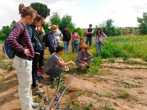 Curso Internacional de Ecología Urbana (Madrid)