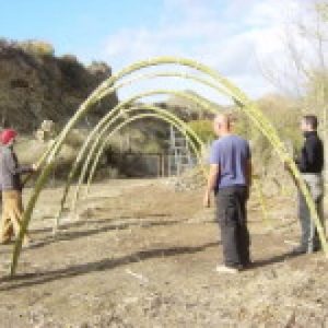 Taller Práctico "Construcción de Invernadero con estructura de caña" (Almería)