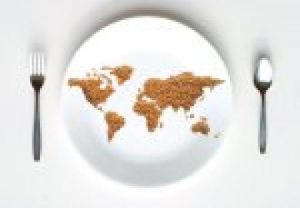 Curso en Madrid: ¿Quién decide qué comemos?