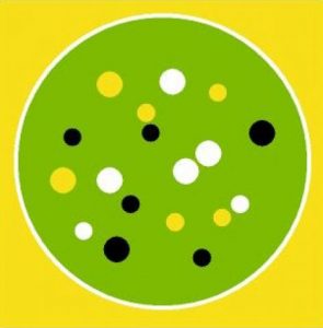 Curso on line de Formación en Comercio Justo