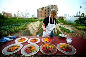 Curso en Zaragoza: ¿Quién decide qué comemos?