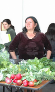 Encuentro “El huerto como escuela” Agricultura urbana entre generaciones (Alcorcón)