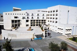 ESS y comunes: convocatoria de contribuciones