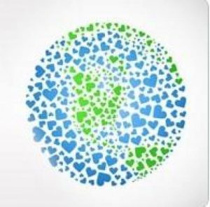 Gizarte ekonomia eta ekonomia solidarioa masterra - UPV/EHU